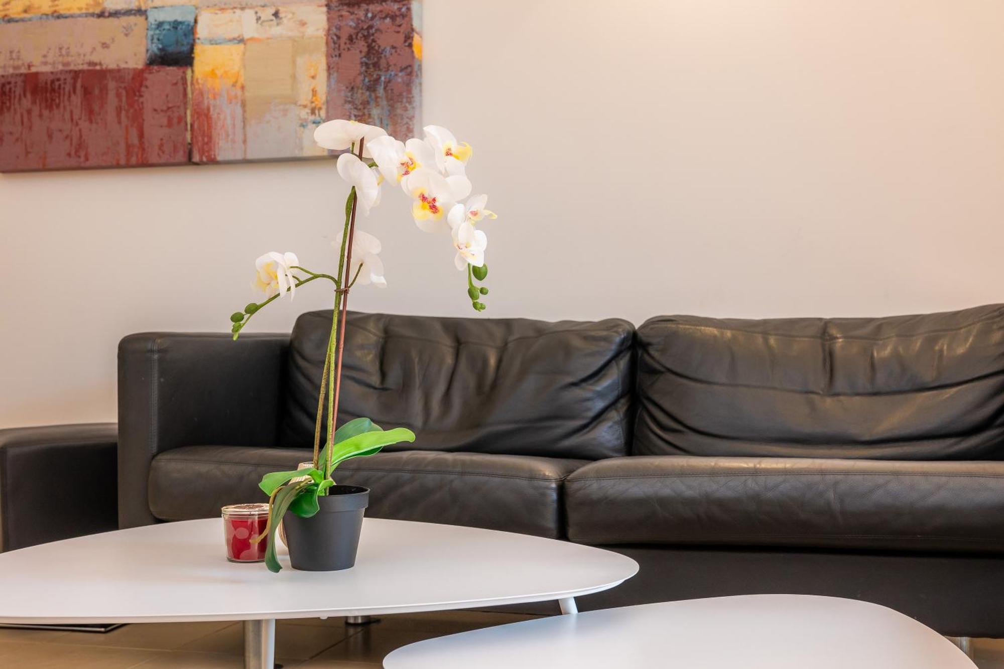 Apartment Casa Mz *